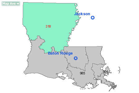 Area Code 318 Map